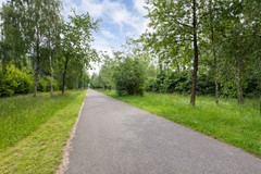 Krabbendijkestraat 438_41.jpg
